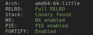 Binary Protection