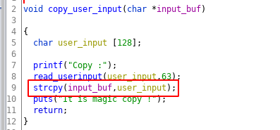 Vulnerable Copy function - copy_user_input function 